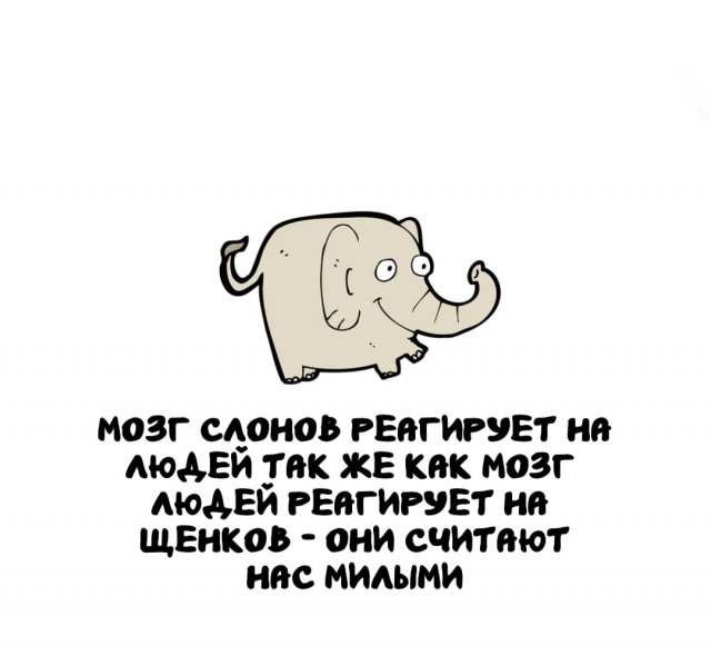 Интересные факты на все случаи жизни