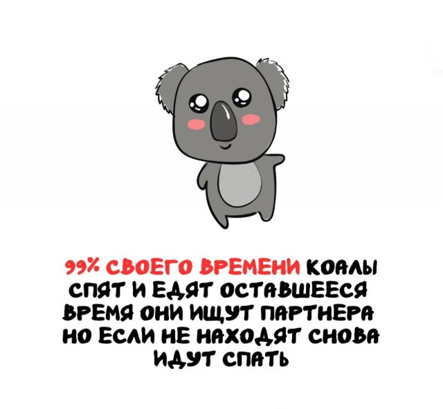 Интересные факты на все случаи жизни