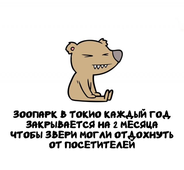 Интересные факты на все случаи жизни