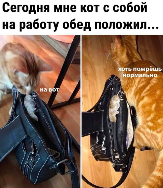 Смешные мемы - 27.06.2025