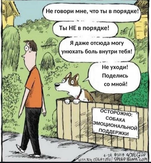 Лучшие шутки и мемы из Сети - 27.06.2025