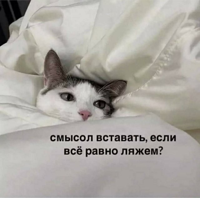 Лучшие шутки и мемы из Сети - 27.06.2025