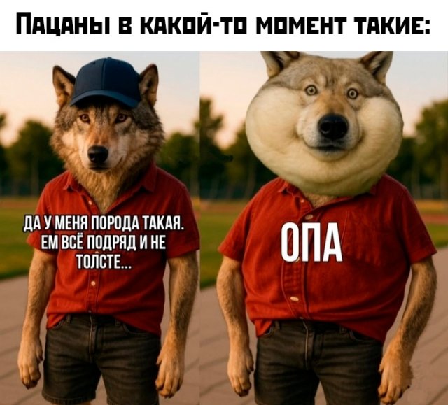 Подборка картинок. Вечерний выпуск - 27.06.2025
