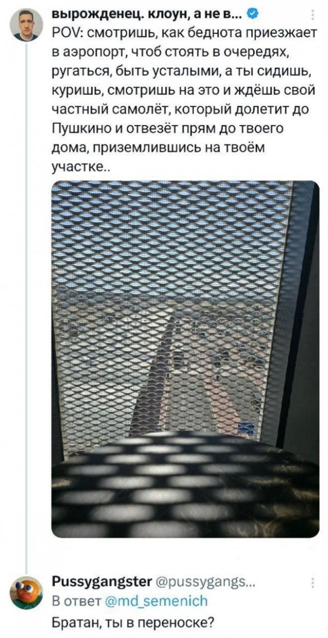 Подборка забавных твитов обо всем
