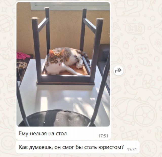 Смешные мемы - 30.06.2025