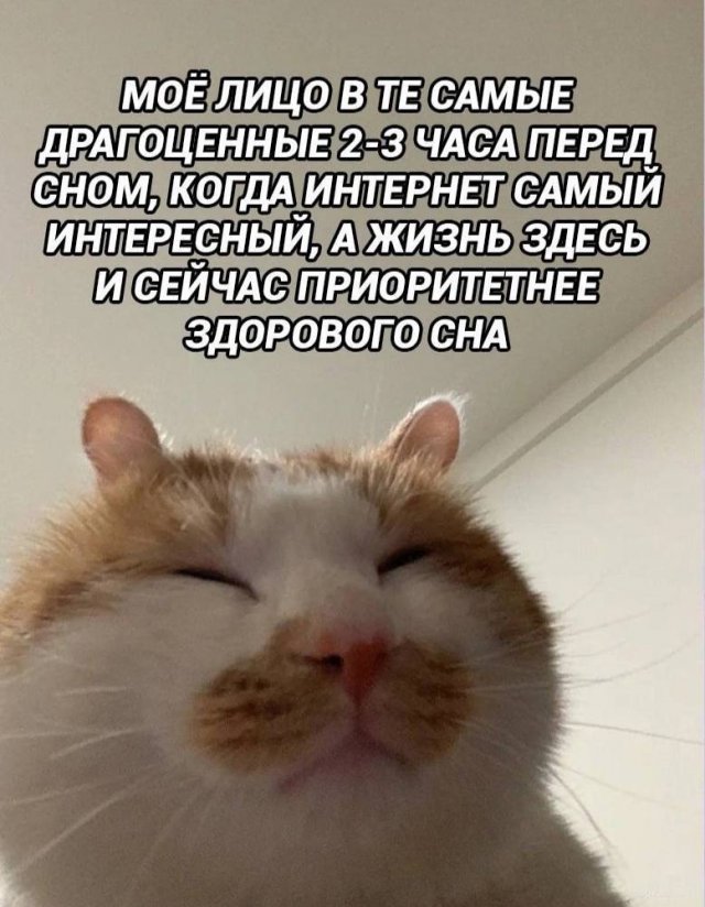 Смешные мемы - 30.06.2025