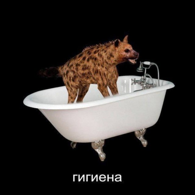 Смешные мемы - 30.06.2025