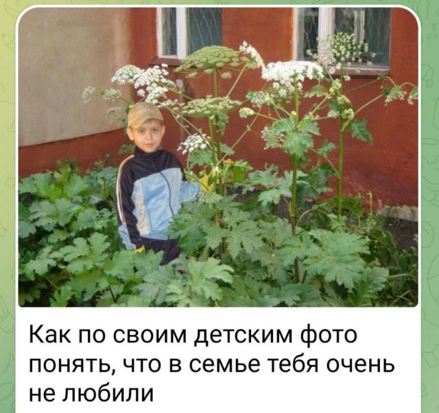 Смешные мемы - 30.06.2025