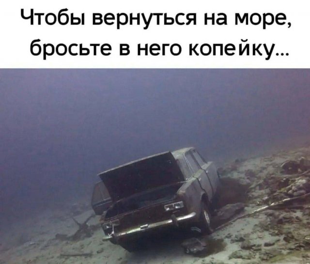 Смешные картинки - 30.06.2025