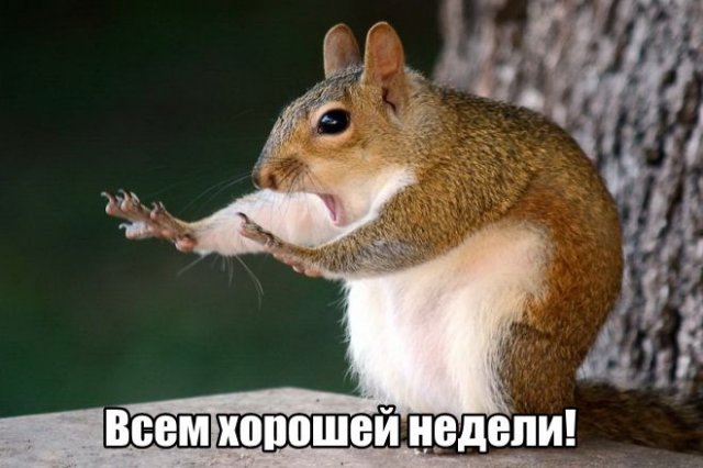 Трынделка - 30.06.2025