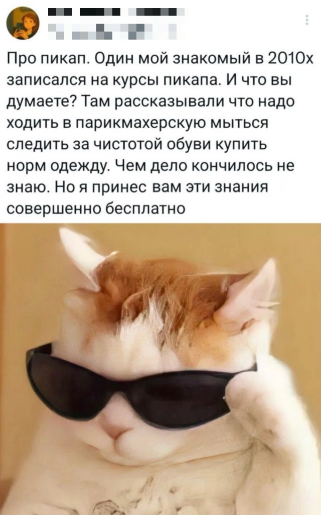 Подборка картинок. Вечерний выпуск - 30.06.2025