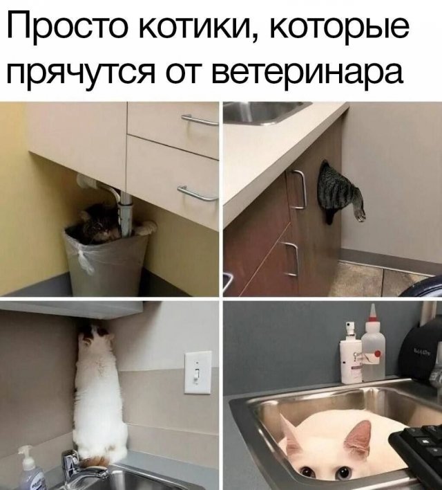 Лучшие шутки и мемы из Сети - 30.06.2025