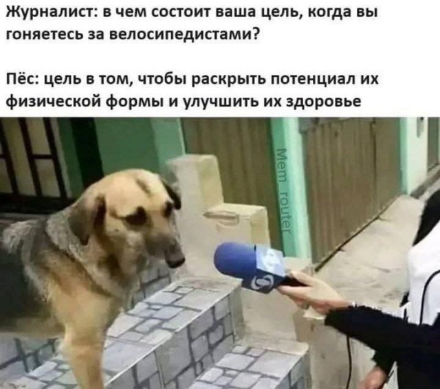 Лучшие шутки и мемы из Сети - 30.06.2025