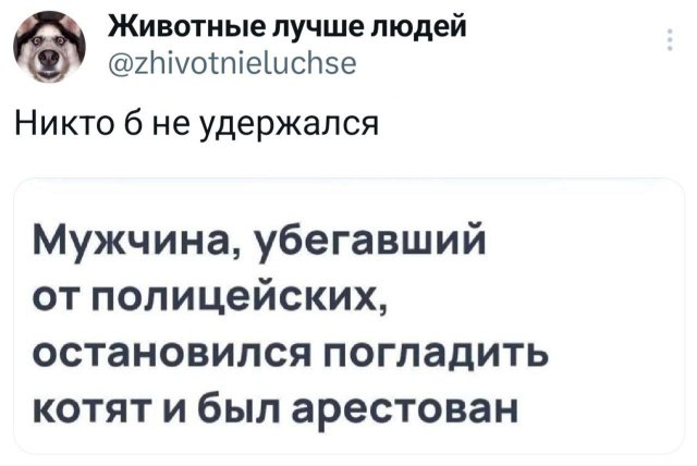 Подборка забавных твитов обо всем