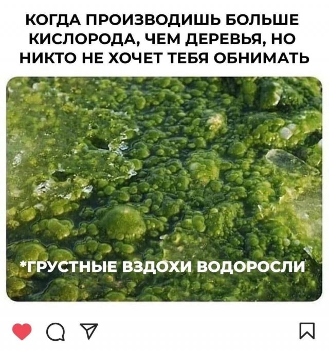 Смешные мемы - 01.07.2025