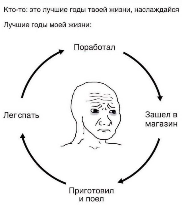 Подборка картинок. Вечерний выпуск - 01.07.2025