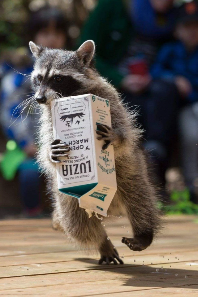 Моя прелесть!