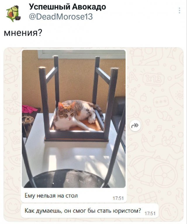 Подборка забавных твитов обо всем