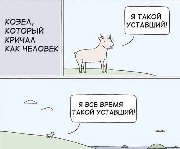 Смешные картинки - 02.07.2025