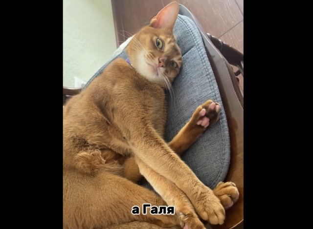 Загадка имен