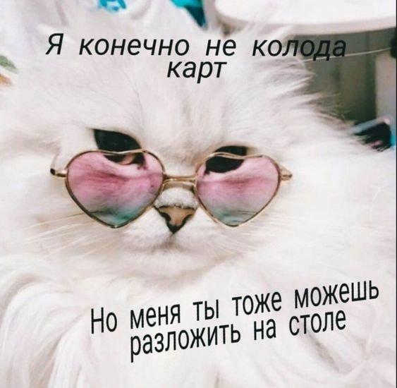 Лучшие шутки и мемы из Сети - 02.07.2025