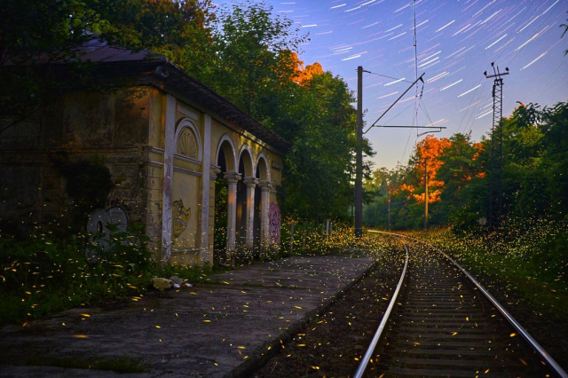 Светлячки на железной дороге