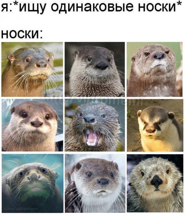 Смешные мемы - 03.07.2025