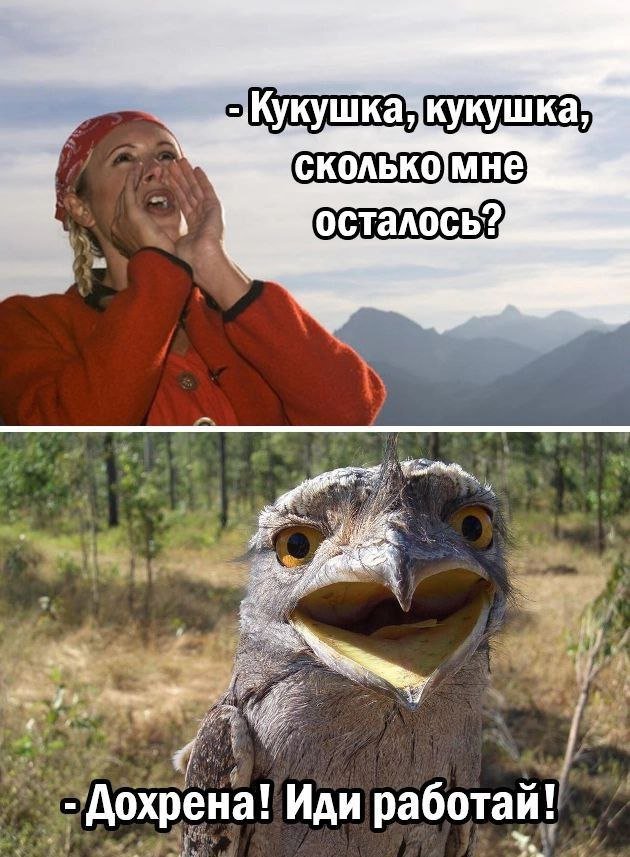 Смешные мемы - 03.07.2025