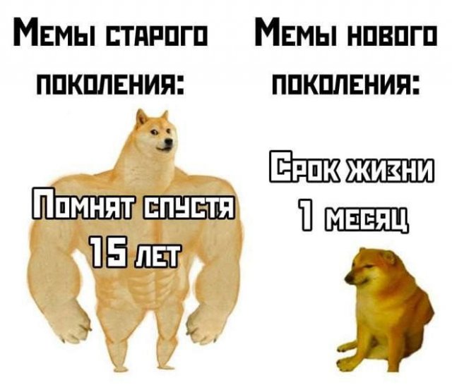 Смешные мемы - 03.07.2025