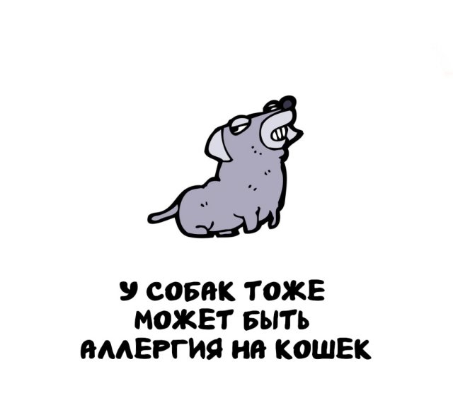 Интересные факты на все случаи жизни