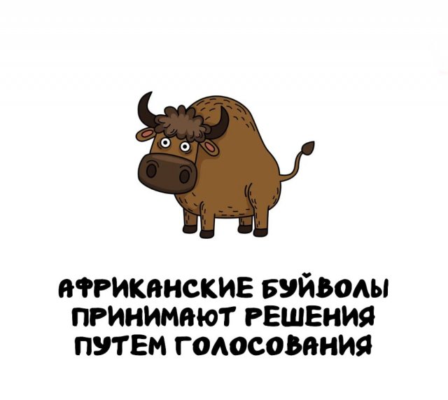 Интересные факты на все случаи жизни