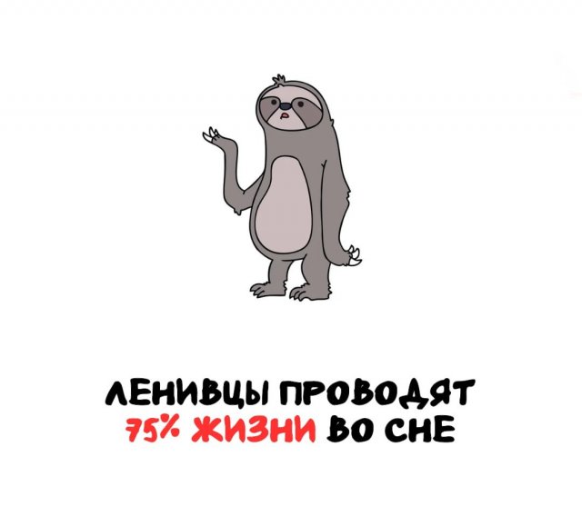 Интересные факты на все случаи жизни