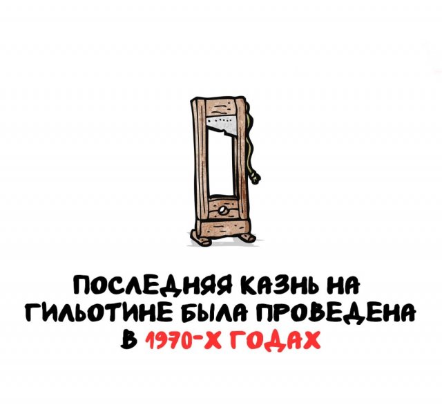 Интересные факты на все случаи жизни