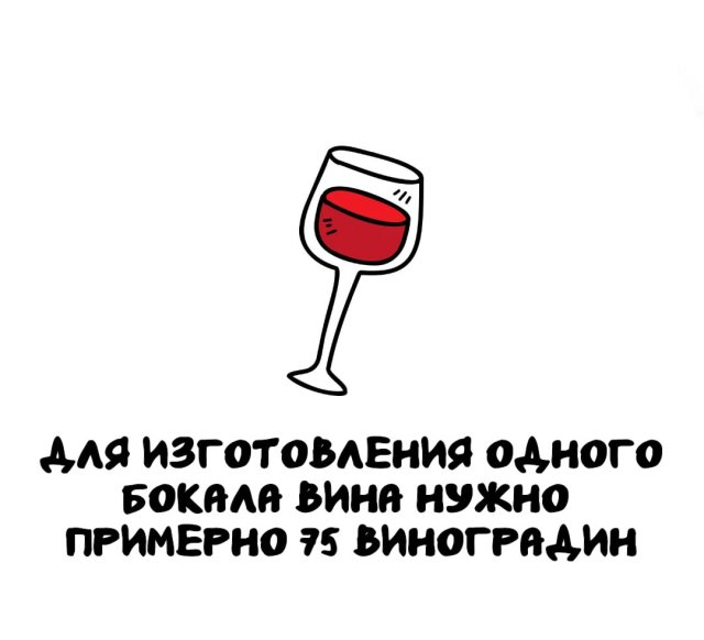 Интересные факты на все случаи жизни