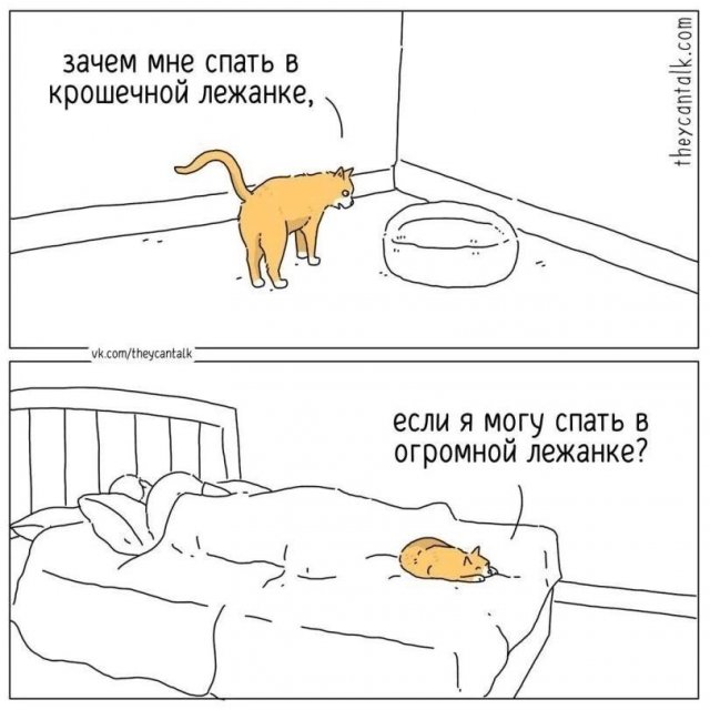 Смешные картинки - 03.07.2025