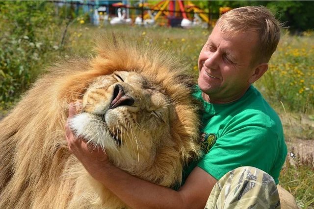 Первые слова Олега Зубкова, которого чуть не растерзали тигры, после выхода из больницы Первые слова Олега Зубкова, которого чуть не растерзали тигры, после выхода из больницы