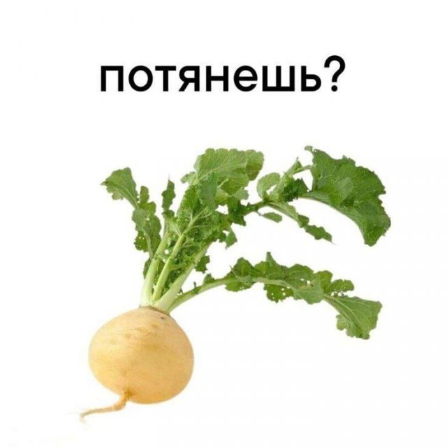 Лучшие шутки и мемы из Сети - 03.07.2025