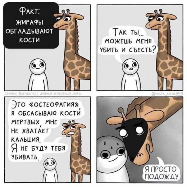 Лучшие шутки и мемы из Сети - 03.07.2025