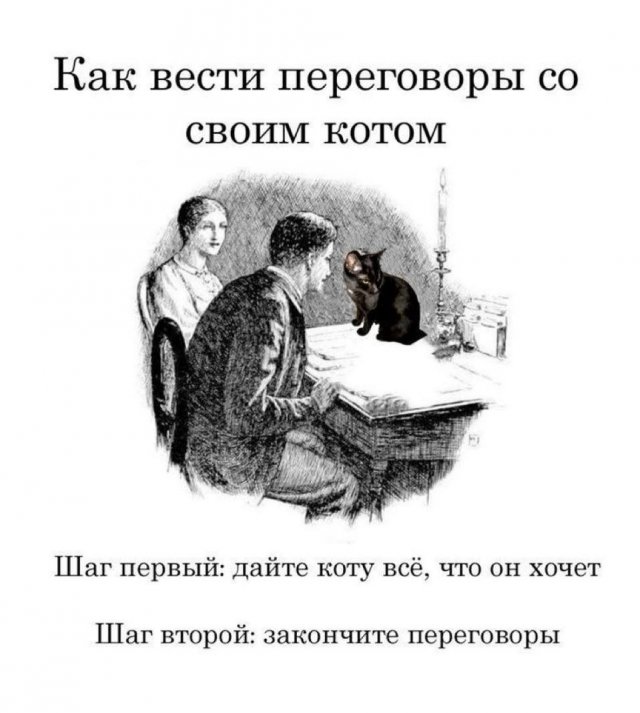 Лучшие шутки и мемы из Сети - 03.07.2025