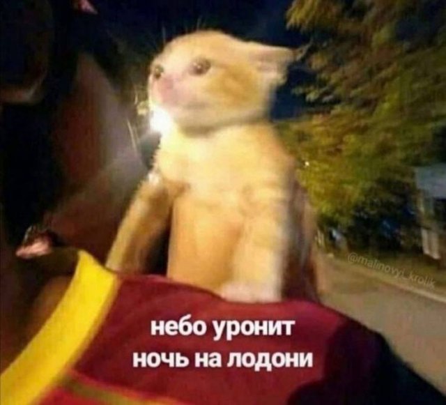Лучшие шутки и мемы из Сети - 03.07.2025
