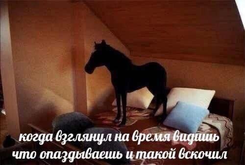 Лучшие шутки и мемы из Сети - 03.07.2025
