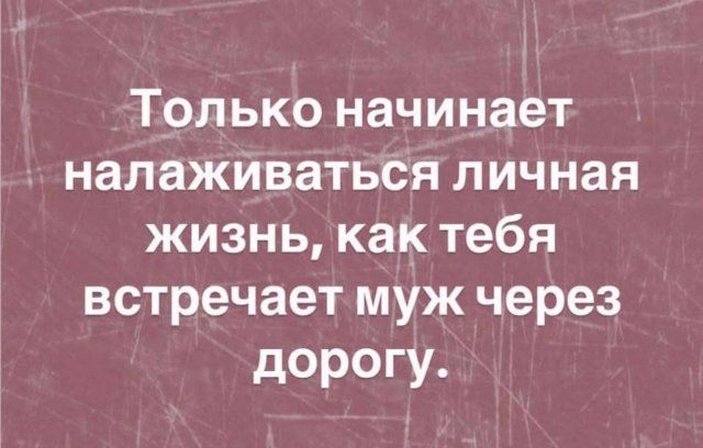 Смешные картинки - 04.07.2025