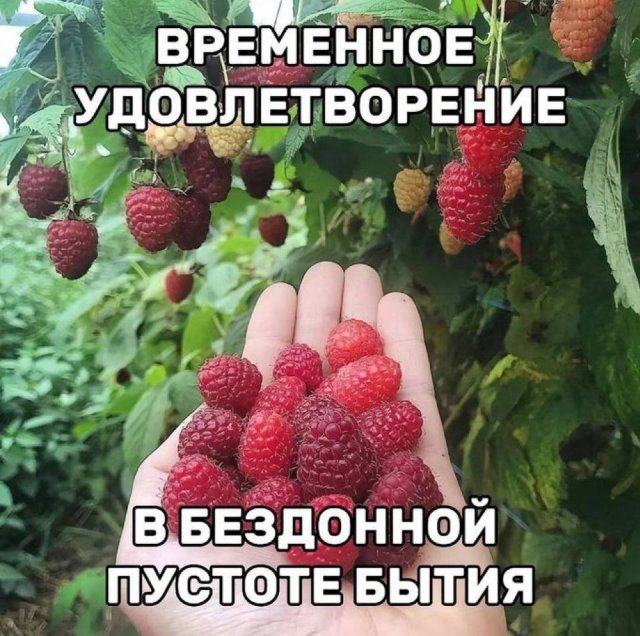 Смешные картинки - 04.07.2025
