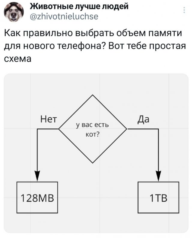 Подборка забавных твитов обо всем Подборка забавных твитов обо всем