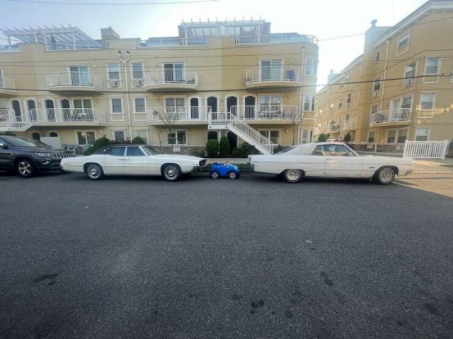 Подборка картинок. Вечерний выпуск - 04.07.2025