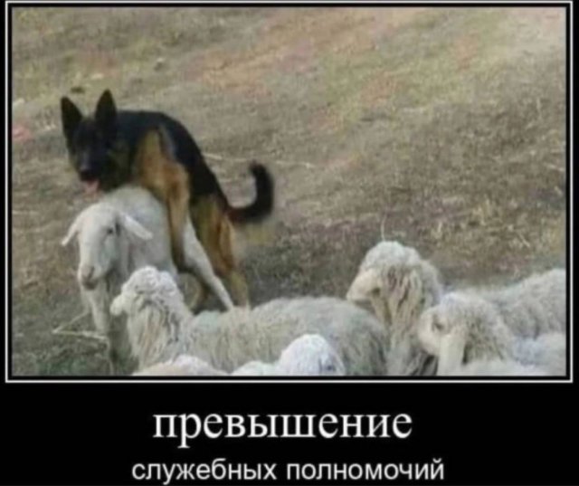 Демотиваторы - 04.07.2025