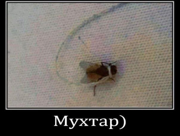 Демотиваторы - 04.07.2025