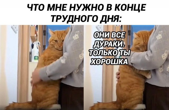 Лучшие шутки и мемы из Сети - 04.07.2025