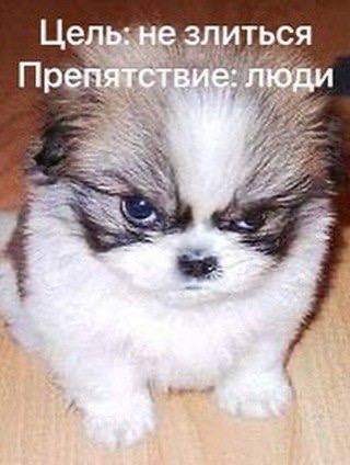 Лучшие шутки и мемы из Сети - 04.07.2025