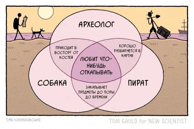 Лучшие шутки и мемы из Сети - 04.07.2025